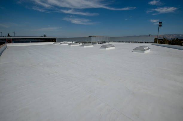 Best Gutter Installation and Repair  in Sardinia, OH