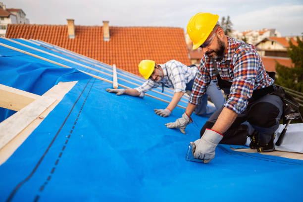 Best Roof Ventilation Installation  in Sardinia, OH
