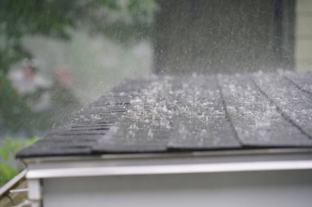 Best Roof Insulation Installation  in Sardinia, OH