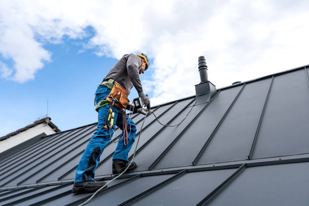 Best Chimney Flashing Repair  in Sardinia, OH